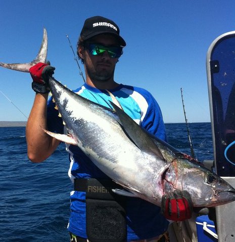 jigged exmouth tuna